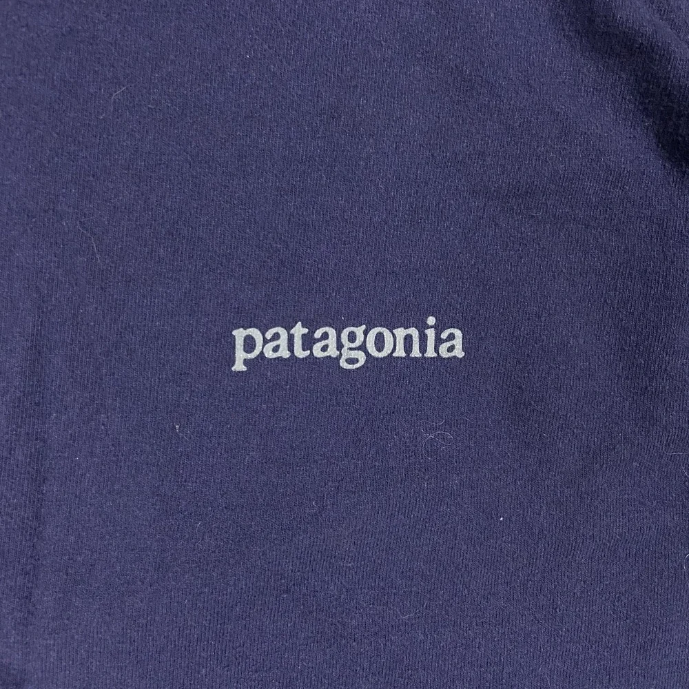 Patagonia Long Sleeve Shirt Size XL Blue Crew Neck Line Logo Mountain Graphic